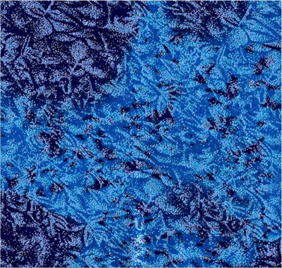 CM0376-BLUE Michael Miller Fabrics