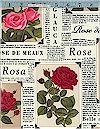 Roses In The News Timeless Treasures