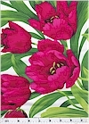 Ruby Tulips, Michael Miller