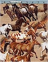 Wild Wild West Horses, Benartex Fabrics