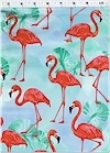 Flamingo Paradise, Robert Kaufman