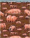 The Pig Family Timeless Treasures
